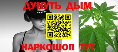 сатива Тверь