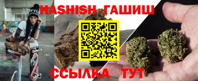 сатива Тверь