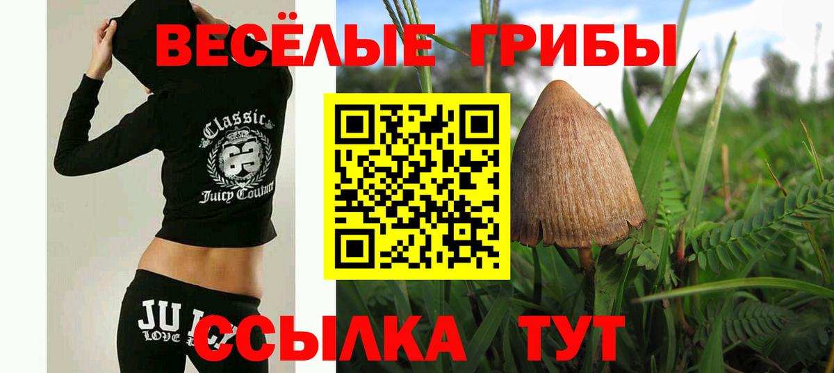 Галлюциногенные грибы Psilocybe Нижнеудинск